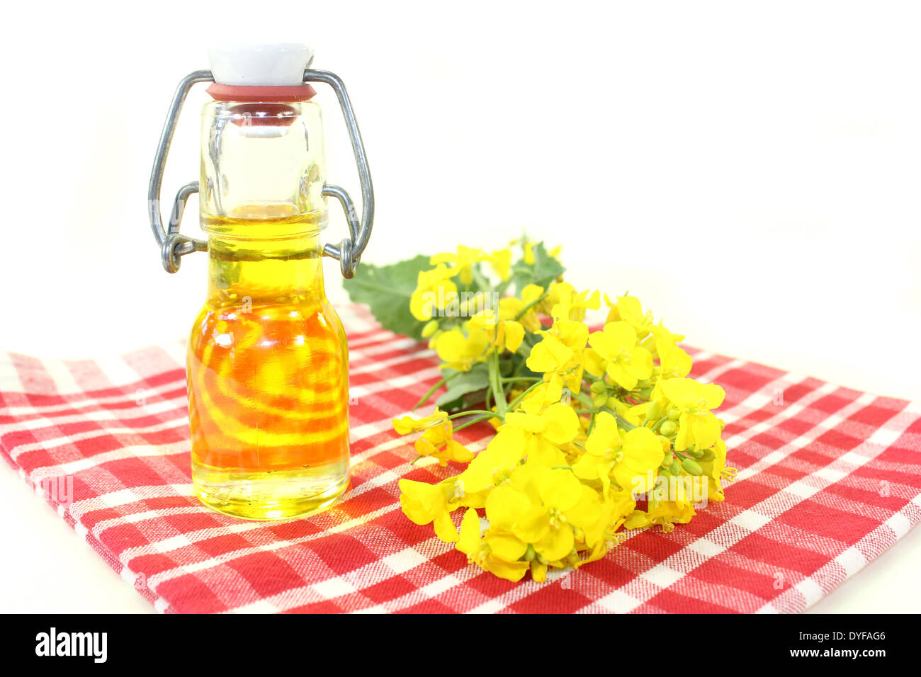 eine Flasche Rapsöl und Raps Blumen vor weißem Hintergrund Stockfoto