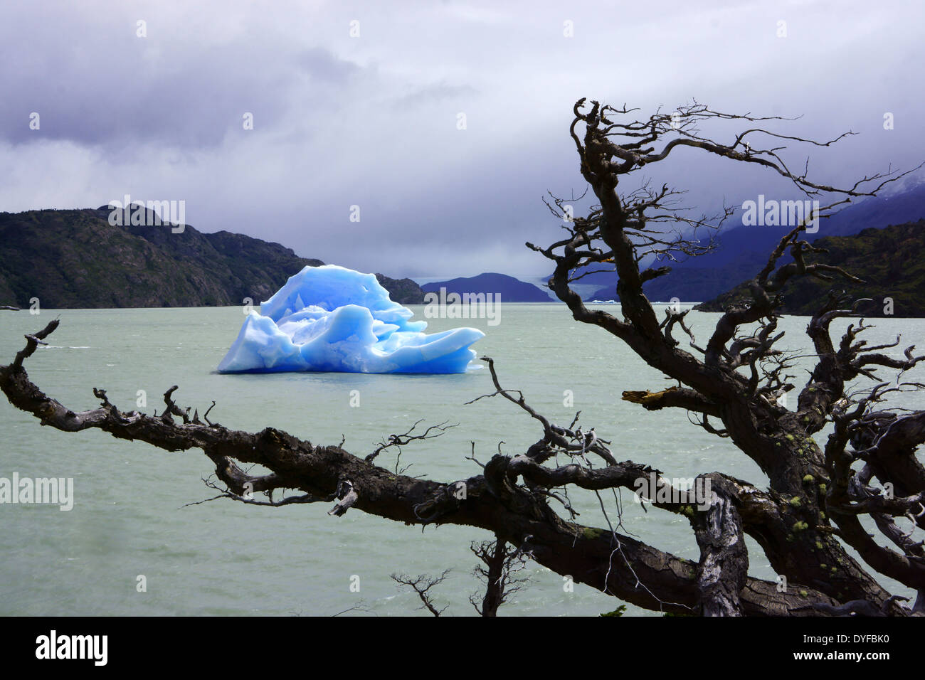 Eisberg in Lago Grey mit Grey Gletscher, Torres del Paine NP, Patagonien, Chile Stockfoto