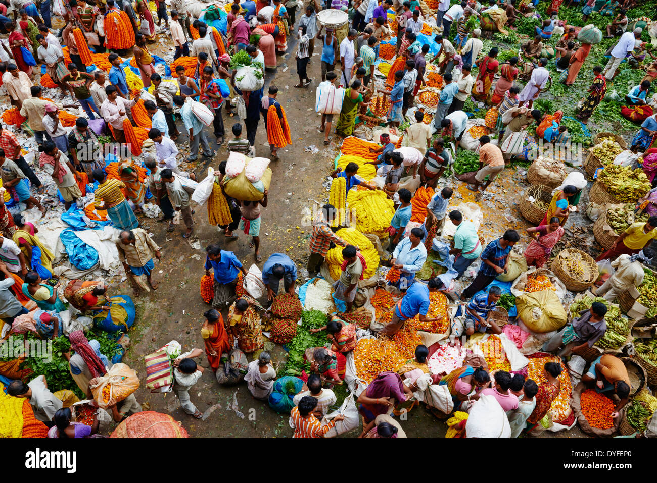 Kalkutta, Mullik Ghat Blumenmarkt, Kolkata, Westbengalen, Indien Stockfoto