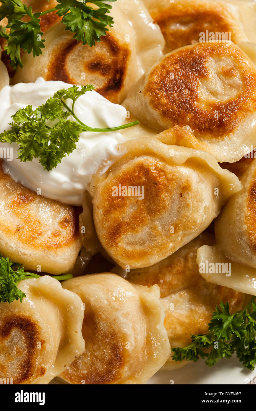 Traditionelle polnische pierogi -Fotos und -Bildmaterial in hoher ...