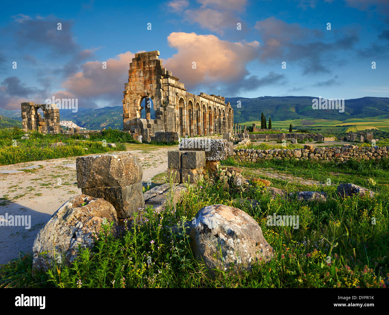 Exterieur der Roman Basilica an Ausgrabungsstätte Volubilis. Marokko Stockfoto