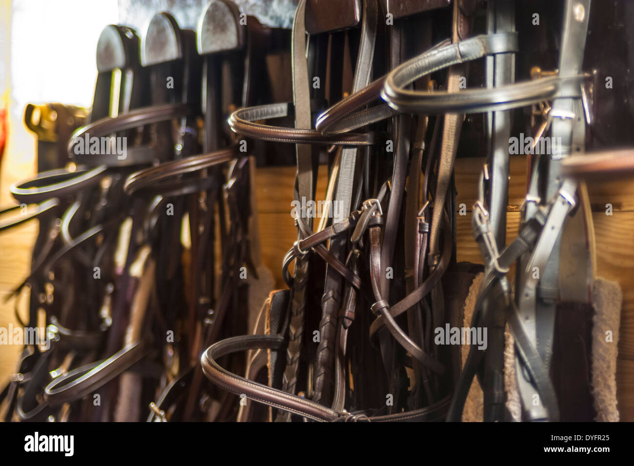 Zaumzeug in Sattelkammer Pferd Scheune hängen Stockfoto