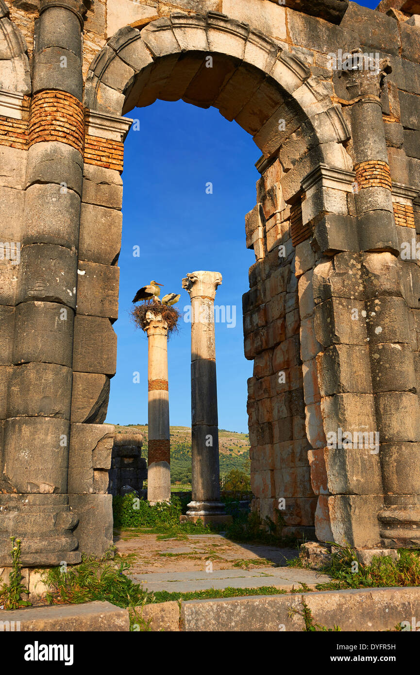 Exterieur der Roman Basilica an Ausgrabungsstätte Volubilis. Marokko Stockfoto