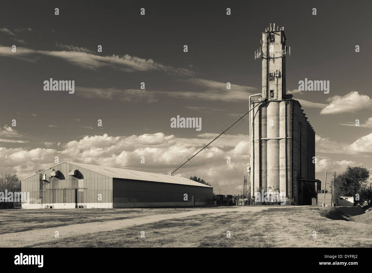 USA, Kansas, Hutchinson, Getreidesilo in der Abenddämmerung Stockfoto