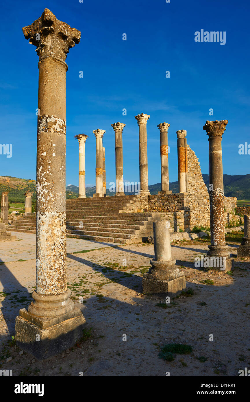 Die Corintian Spalten der kapitolinischen Tempel Volubilis archäologische Stätte, Marokko Stockfoto