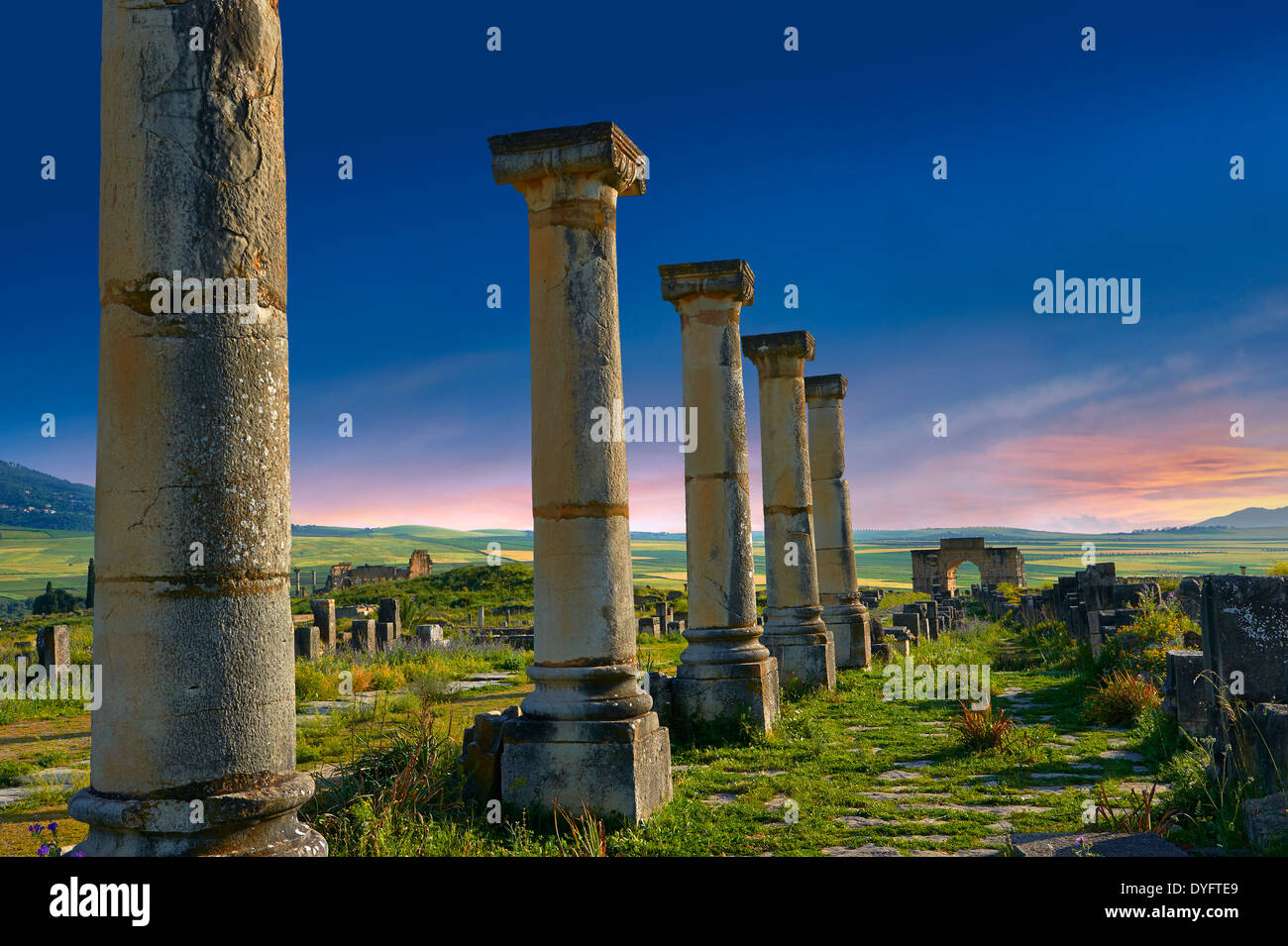 Spalten entlang dem Decumanus Maximus, die Hauptstraße mit Blick auf den Bogen des Caracalla. Volubilis Website, Marokko Stockfoto