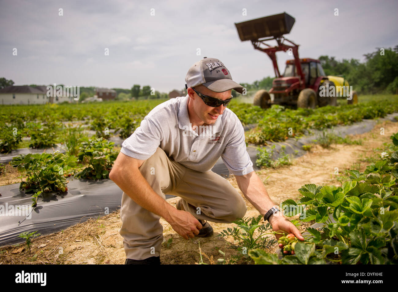 Landwirt - Clinton MD Stockfoto