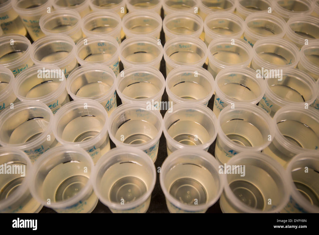 Tassen Flüssigkeit im Labor Stockfoto