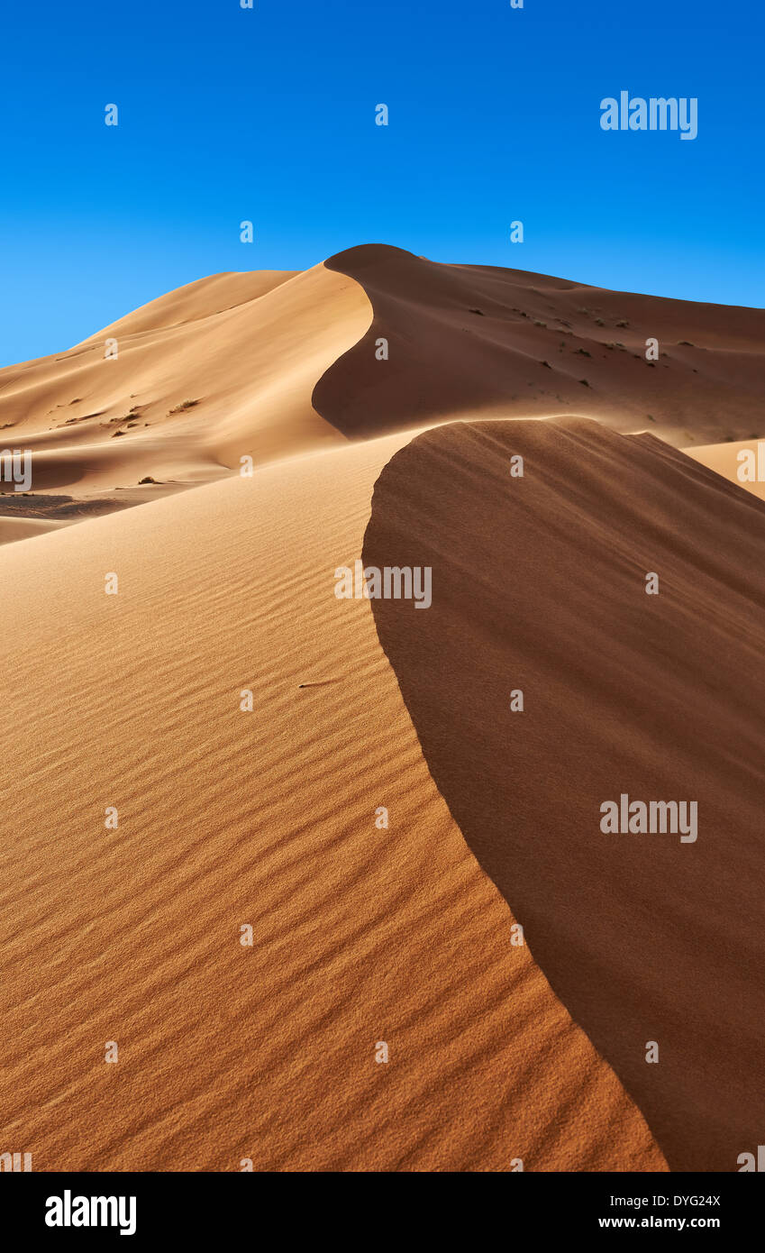 Sahara parabolischen Dünen von Erg Chebbi, Marokko, Afrika Stockfoto