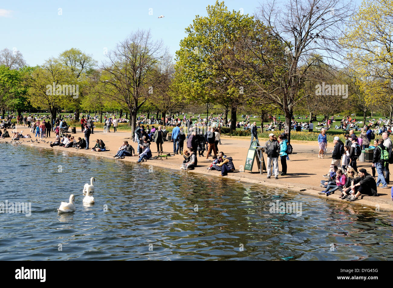 Leute sitzen an der Seite der Serpentine im Hyde Park London England Großbritannien UK Stockfoto