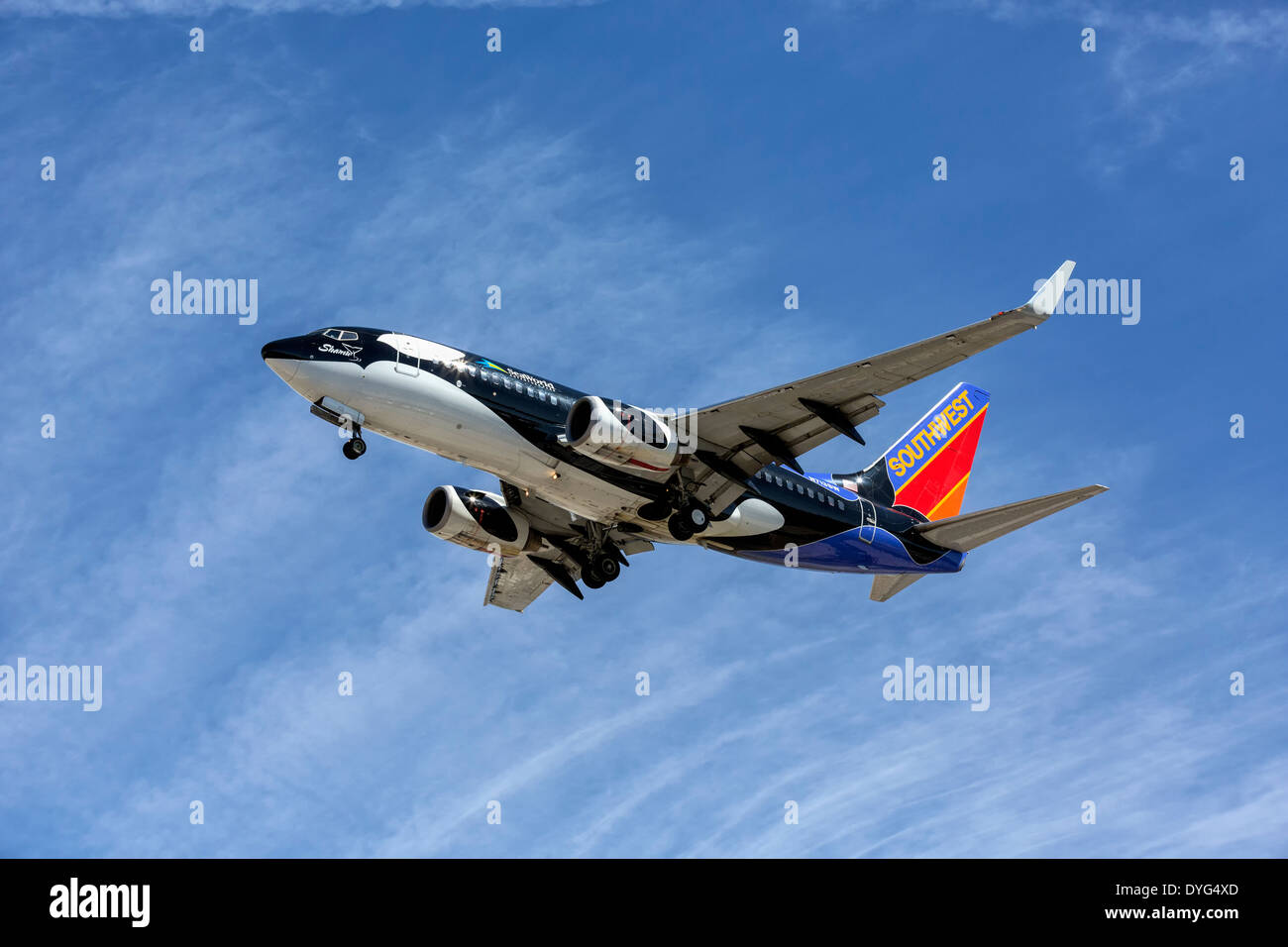 Eine Boeing B737 von Southwest Airlines im Endanflug - klassische Shamu Schema Stockfoto