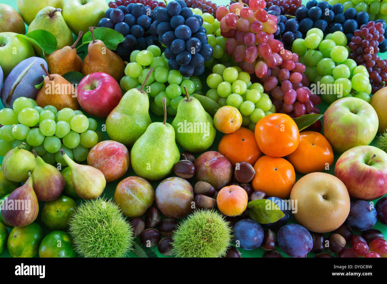 Beste frucht der welt -Fotos und -Bildmaterial in hoher Auflösung – Alamy