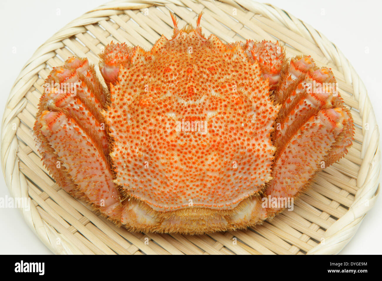 Krabbe Stockfoto