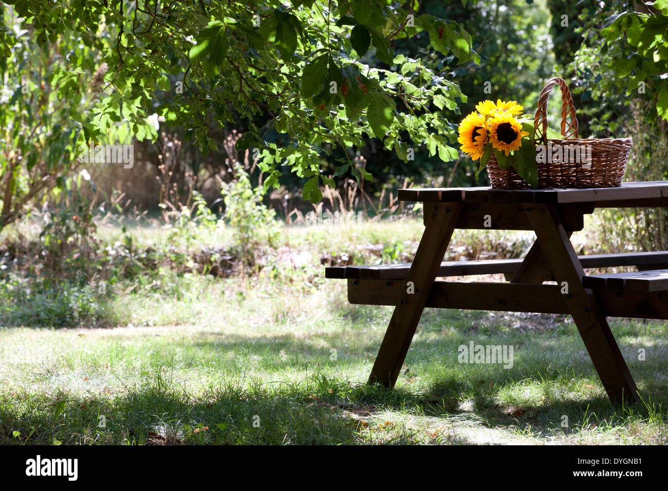 Ein Gartentisch mit einem Weidenkorb und Sonnenblumen drauf Stockfoto