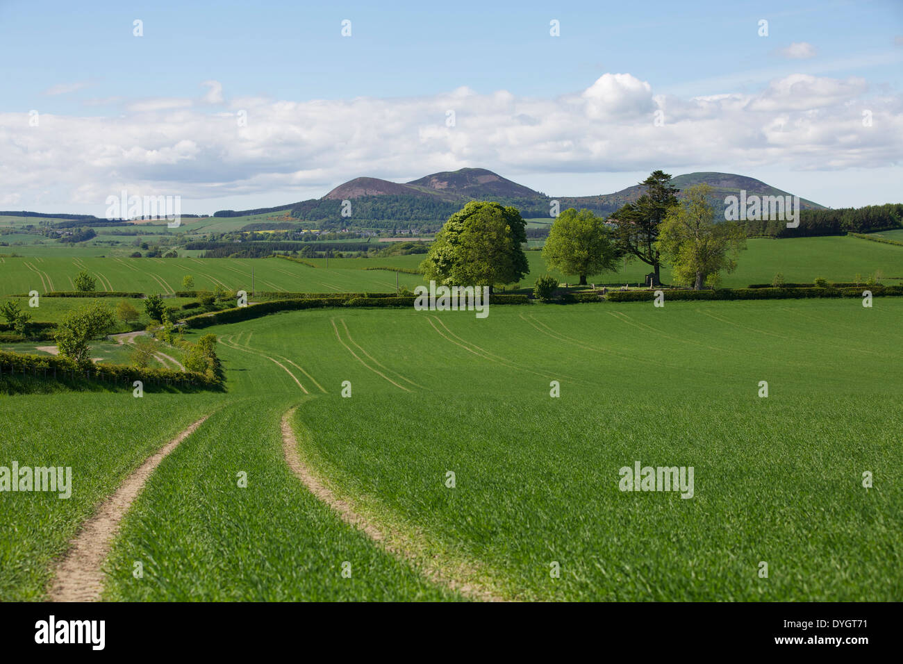 Auffassung von Longnewton von der Ferne Eildon Hills #5243 Stockfoto