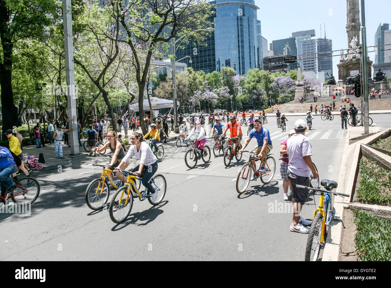 dynamische Ansicht als Masse der Radfahrer & Inlineskater Schwarm aus Angel Glorieta auf Paseo Reforma auf herrlichen autofreien Sonntag Stockfoto