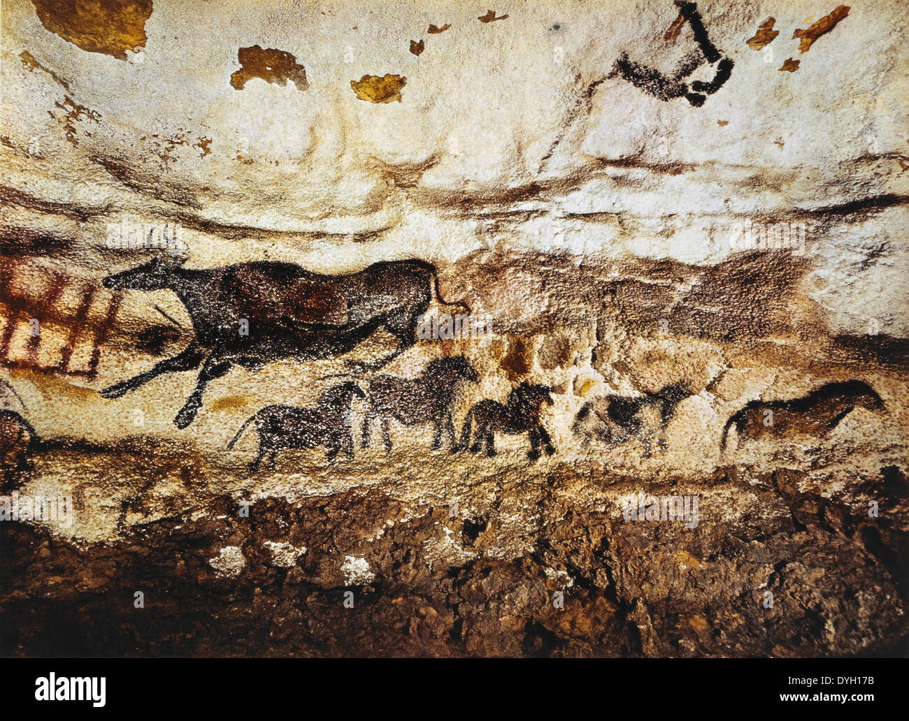 Höhle Malerei der Kuh & Pferde, Lascaux, Frankreich Stockfoto