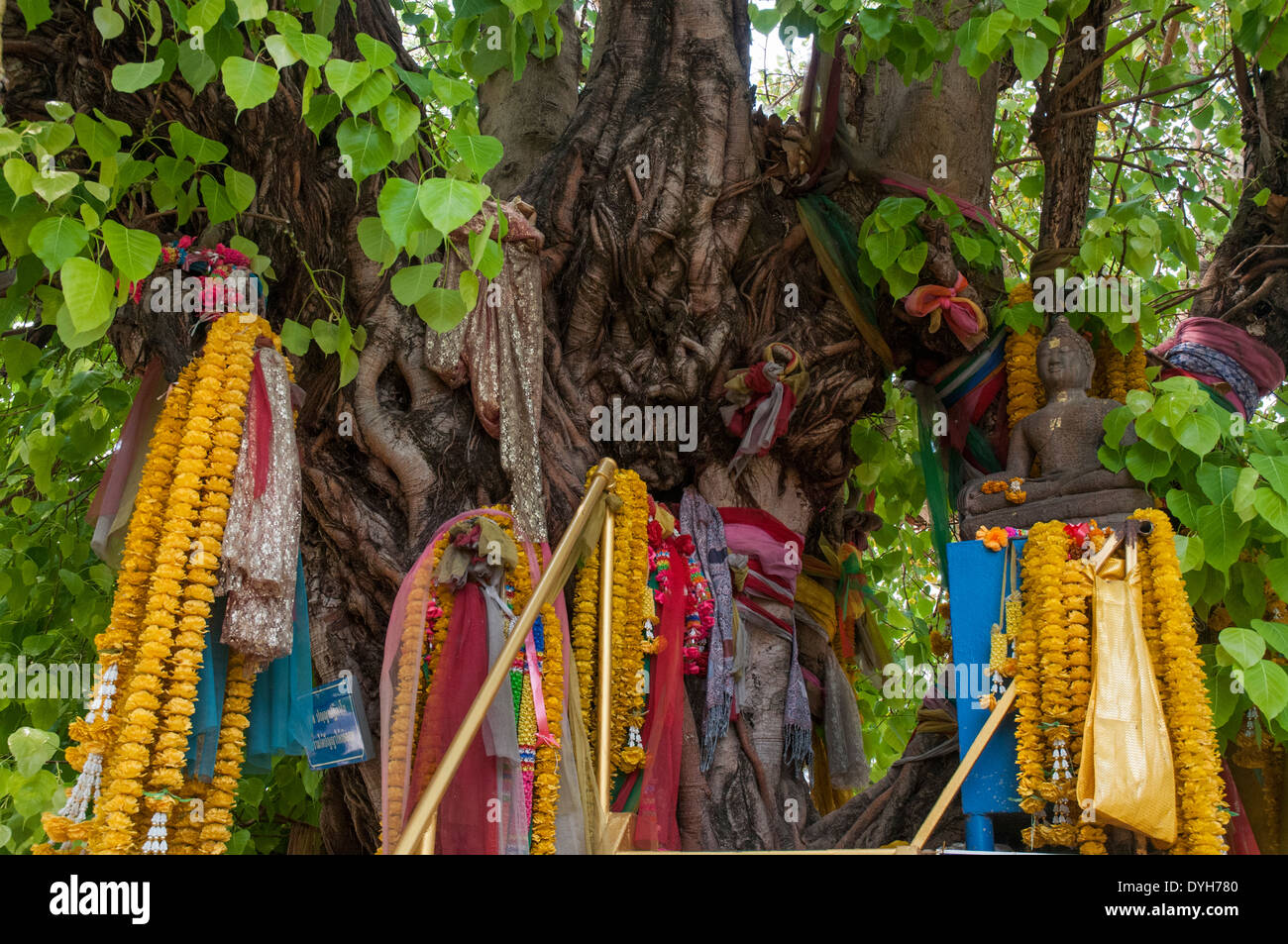 Girlanden und Angebote hängen von einem Baum am Wat Rajburana, Phitsanulok, Thailand Stockfoto