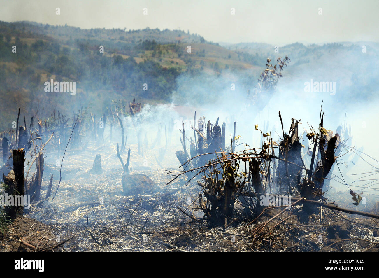 Schrägstrich- und brennen für die Landwirtschaft im Gange, in der Nähe von Ranomafana Nationalpark, Madagaskar Stockfoto