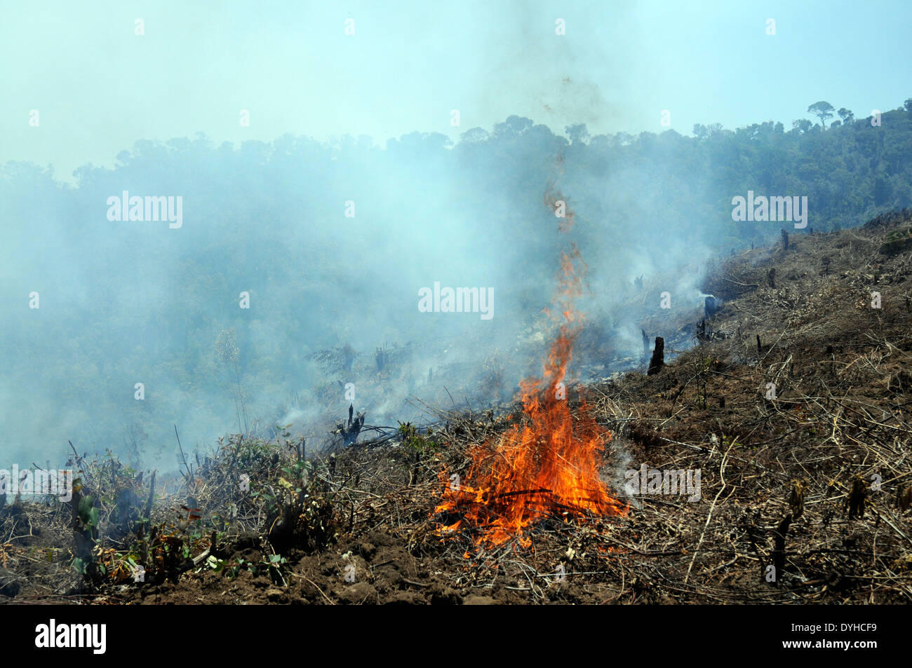 Schrägstrich- und brennen für die Landwirtschaft im Gange, in der Nähe von Ranomafana Nationalpark, Madagaskar Stockfoto