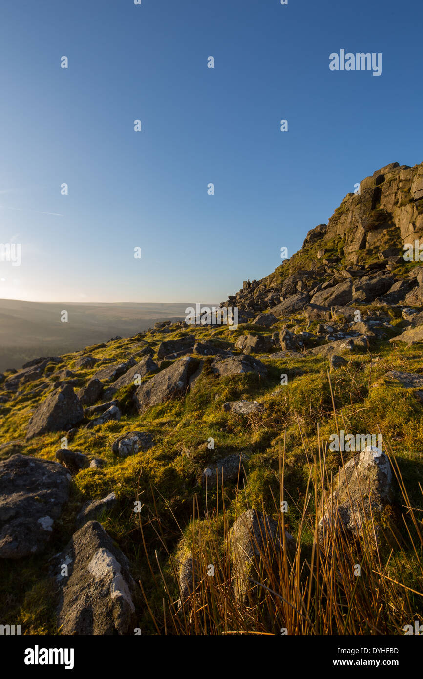 Leder-Tor in der Morgensonne Frühling Stockfoto