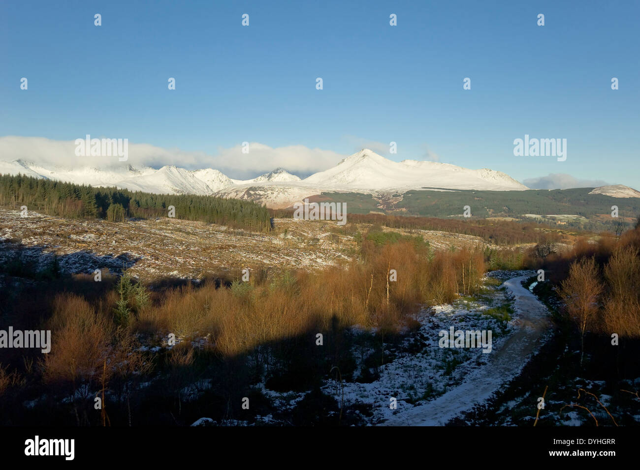 schneebedeckten Bergen der Isle of Arran mit Forstwirtschaft Stockfoto