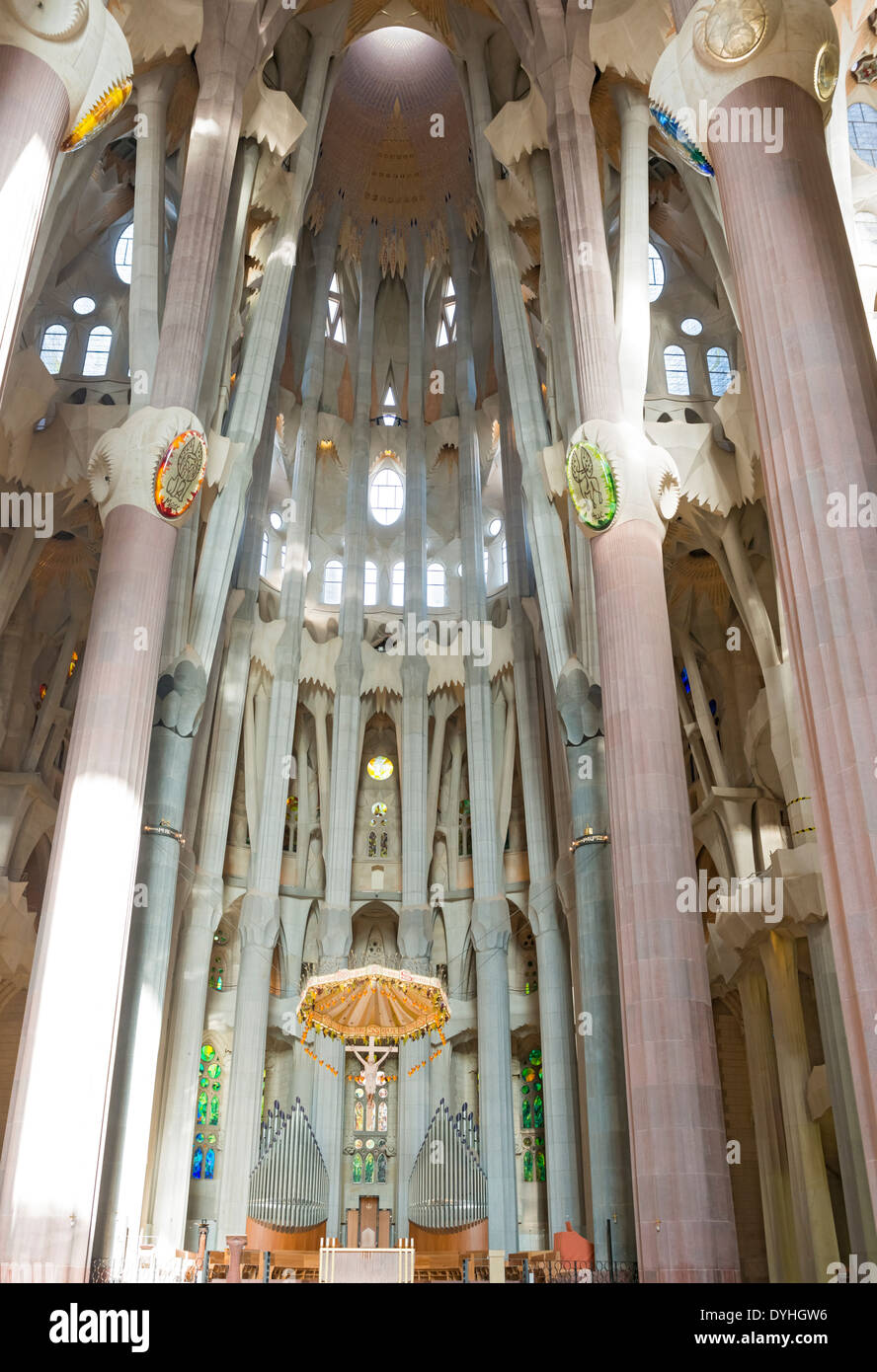 Barcelona Sagrada Familia, Decke, Fenster, Spalten Stockfoto