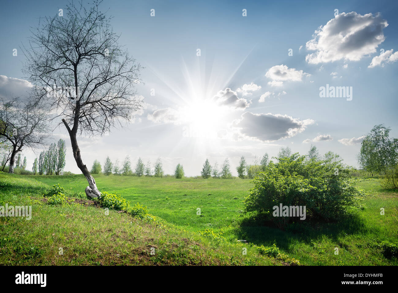 Sonne und Wolken im Feld Frühling Stockfoto