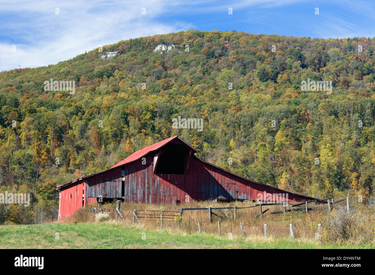 Rote Scheune in grasbewachsenen Bucht im Cumberland County, Tennessee Stockfoto