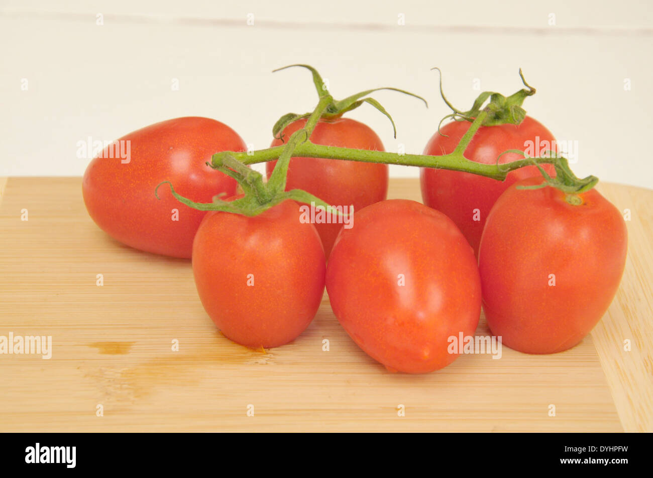 Rote Tomaten auf grünem Stiel Stockfoto