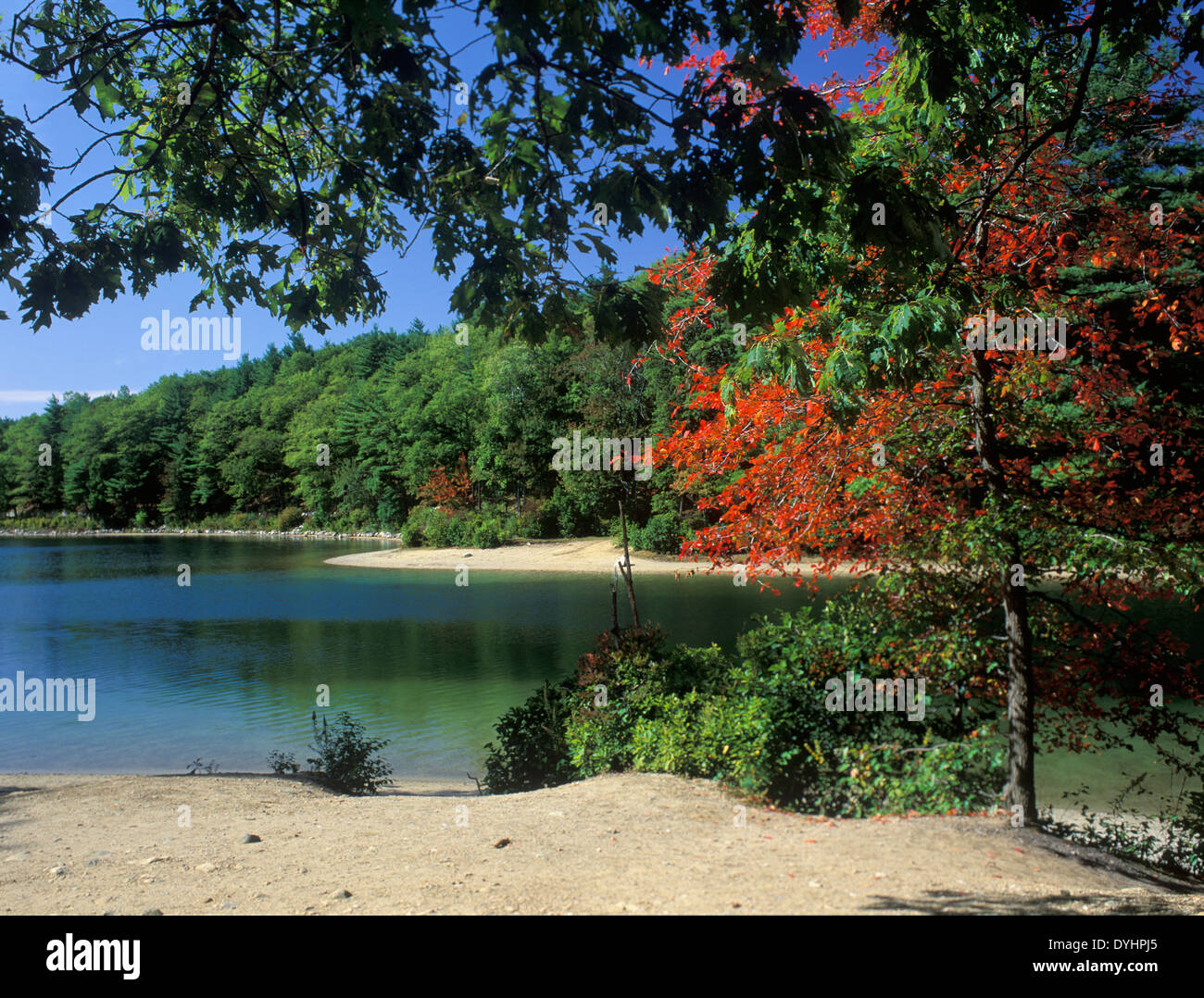 Herbst-Farbe auf Waldens Pond in der Nähe von Concord, New Hampshire Stockfoto