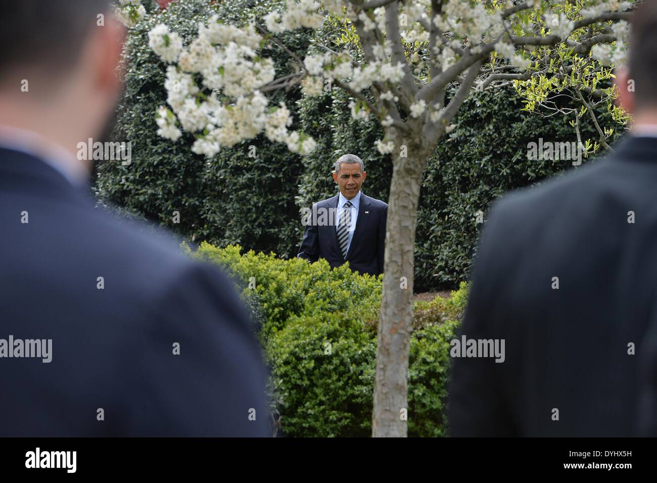 UNS kommt Präsident Barack Obama für die Präsentation der Oberbefehlshaber Trophy auf dem South Lawn des weißen Hauses 18. April 2014 in Washington, D.C. Der Präsident hat die Navy Midshipmen mit der Commander-in-Chief, Trophy an das Department of Defense Academy Team mit den meisten Siegen gegen seine Rivalen Service geht vorgestellt. Stockfoto