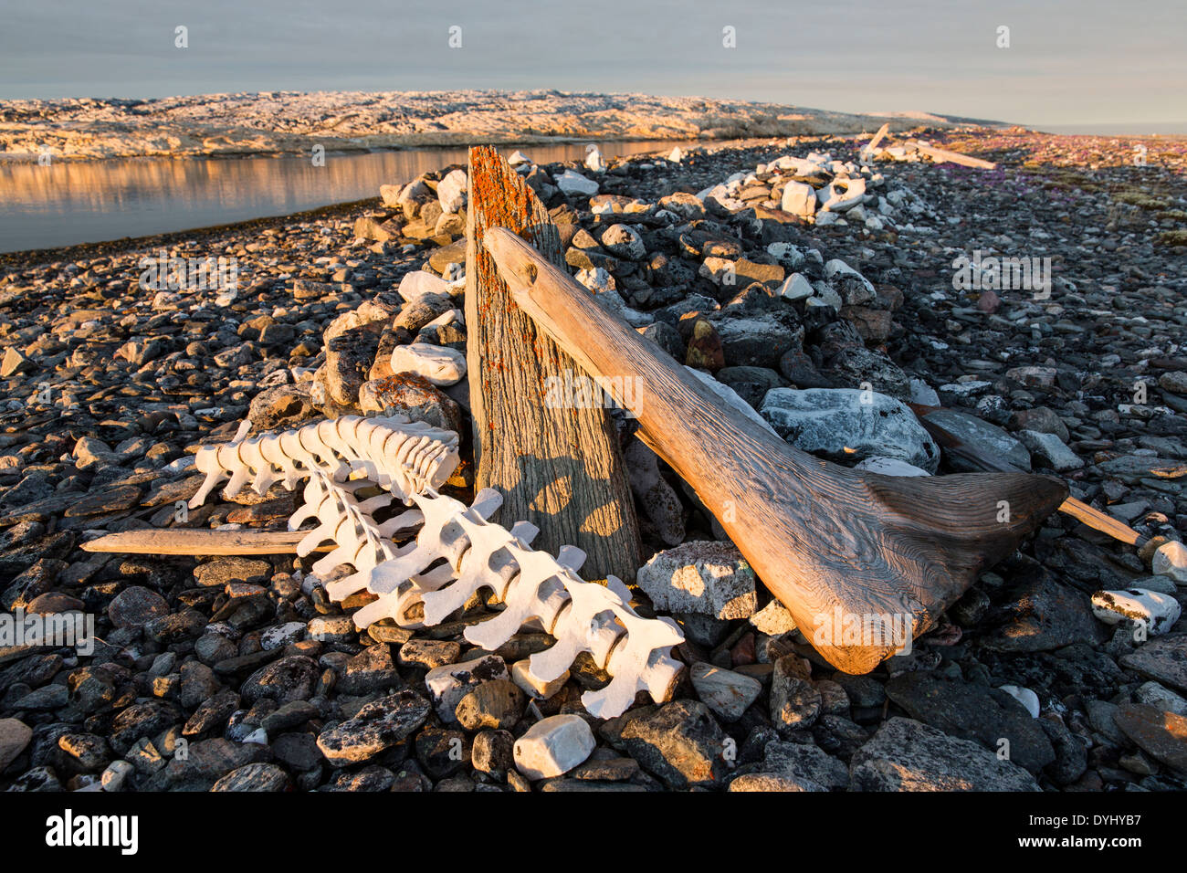 Kanada, Territorium Nunavut, Beluga-Wal Knochen Kennzeichnung Whaler es Grab von 1880 auf Deadman Insel entlang der Hudson Bay Stockfoto