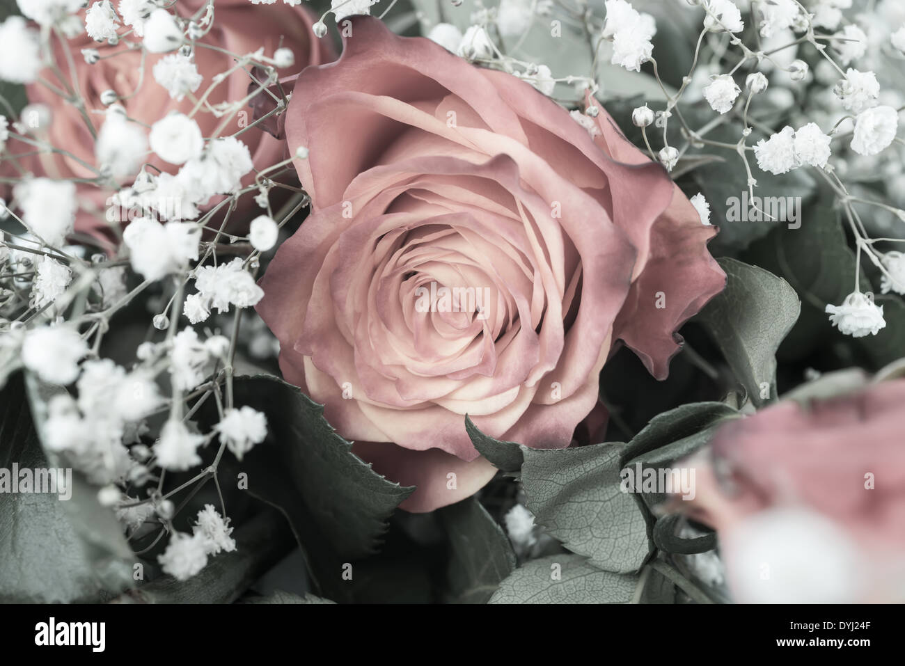 Bouquet von sanften rosa Rosen auf Retro-Stil Stockfoto