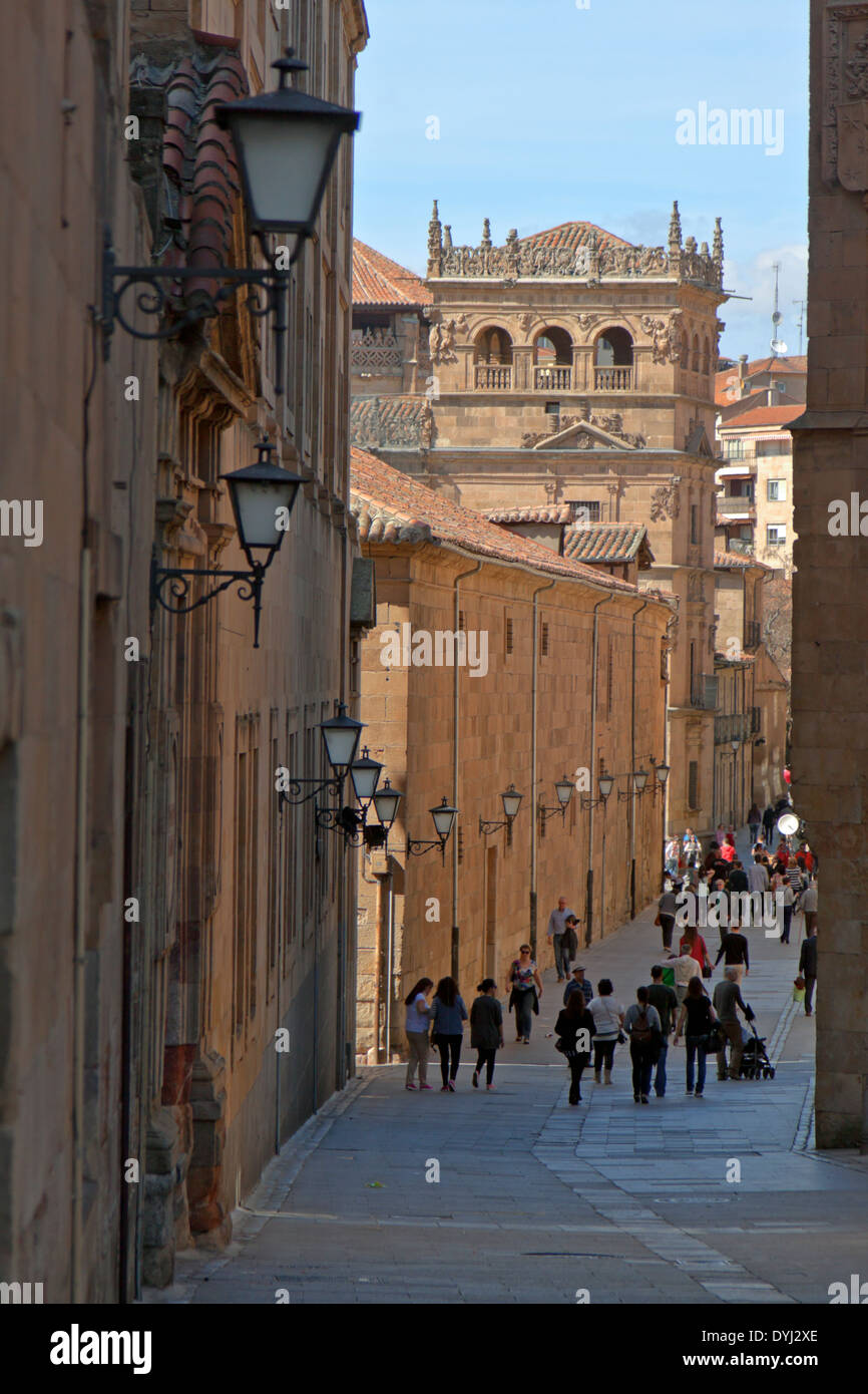Salamanca, Castilla y León, Spanien: Blick von Calle Compañía auf Monterray-Palast (16. Jh.) im plateresken Stil. Stockfoto