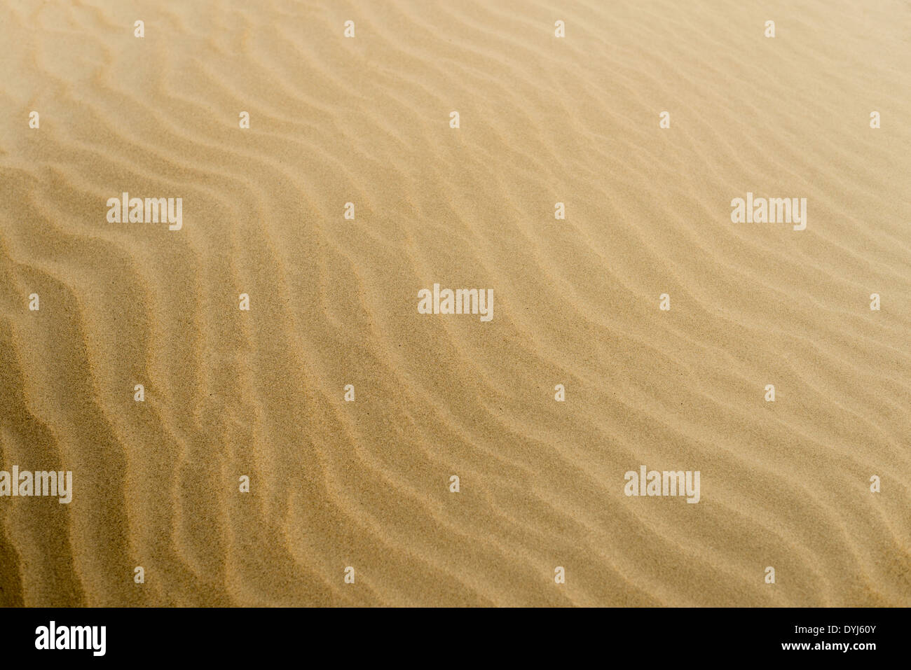 Nahansicht des weichen Strandsand in gelben und braunen Farben mit sanften Wellen. Abstrakt und Tapeten. Stockfoto