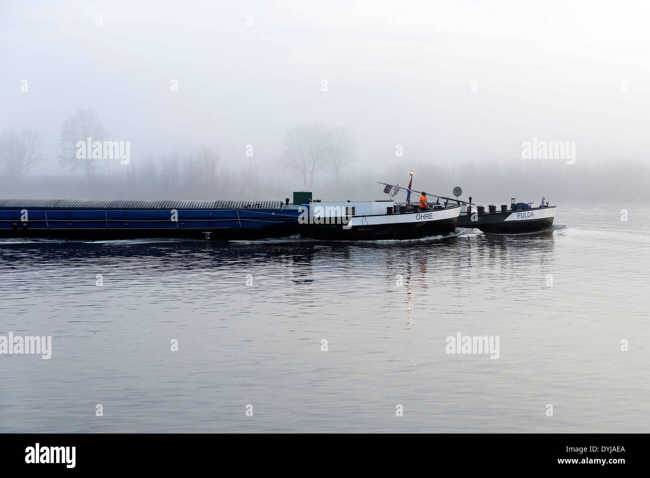 Hüfte, mit Nebel auf der Elbe in Kirchwerder, Hamburg, Deutschland Stockfoto