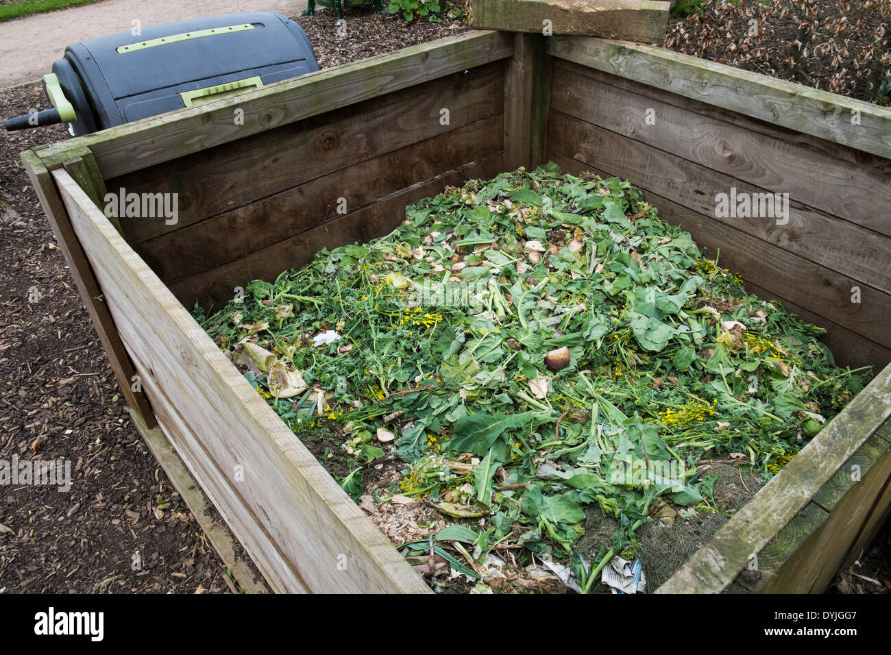 Grüne Produkte in einem hölzernen Kompost verrottet. Stockfoto