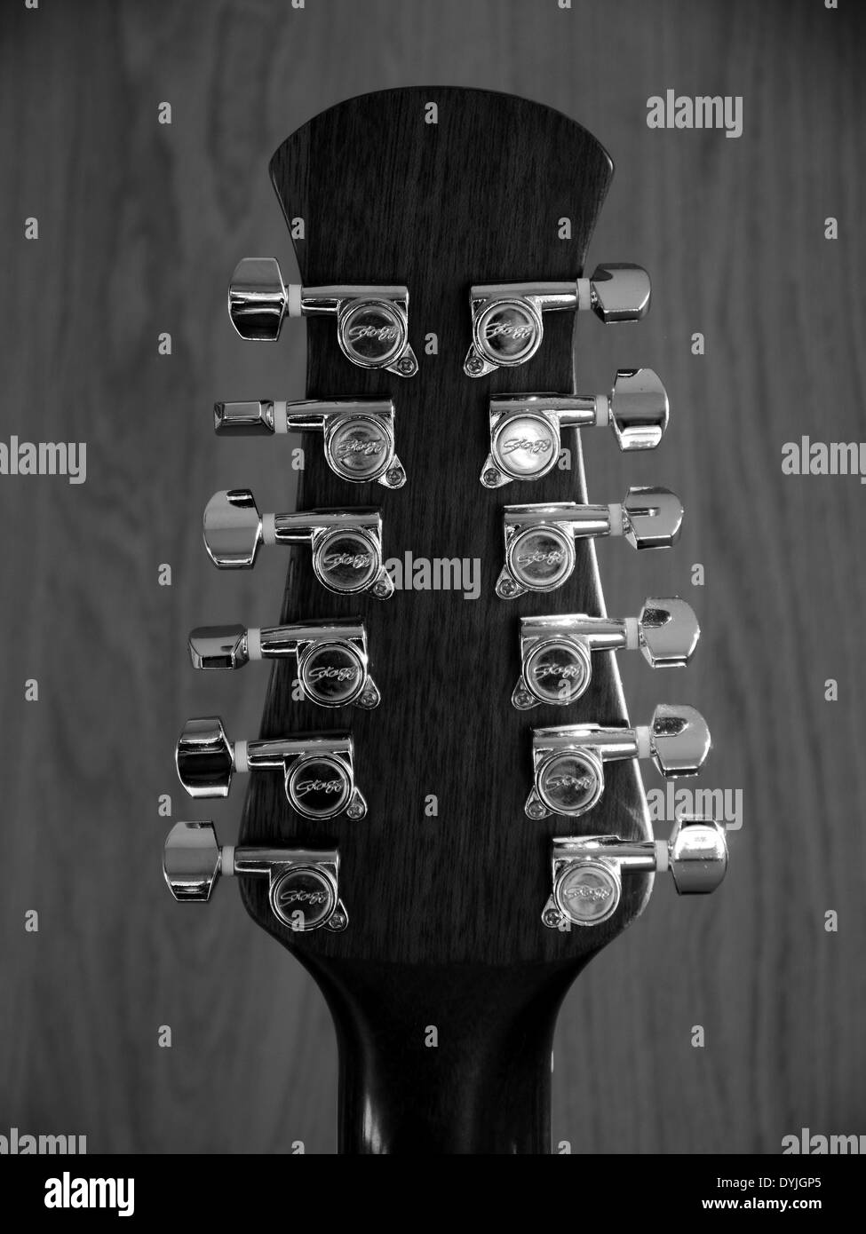Spindelstock 12 string Stagg Elektro/Akustik-Gitarre mit Chrom tuning  Stifte - Rückansicht - Monochrom Stockfotografie - Alamy