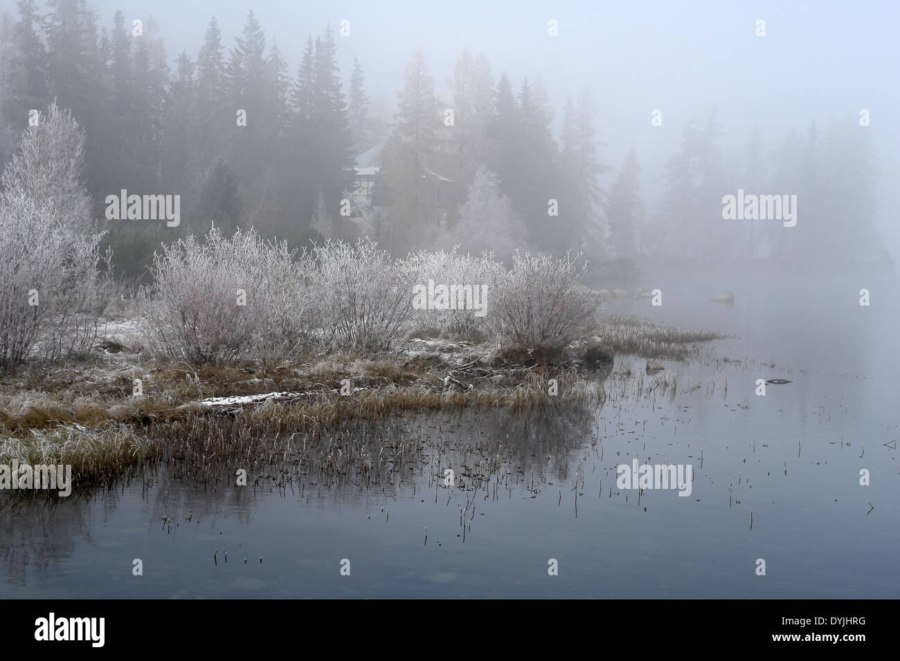 Landschaft mit Bäumen, Wasser und Nebel auf der Strbske Pleso, Slowakei Stockfoto