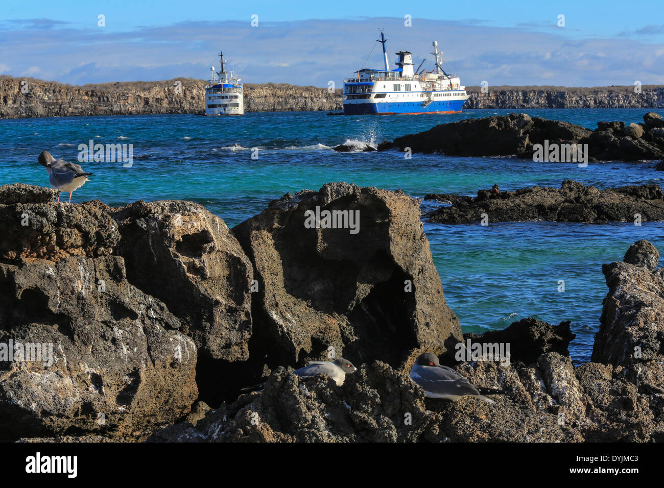 Zwei Exploration Kreuzfahrtschiffe sind in die Kraterlagune auf Genovesa Island, Galapagos-Inseln, Ecuador verankert. Stockfoto