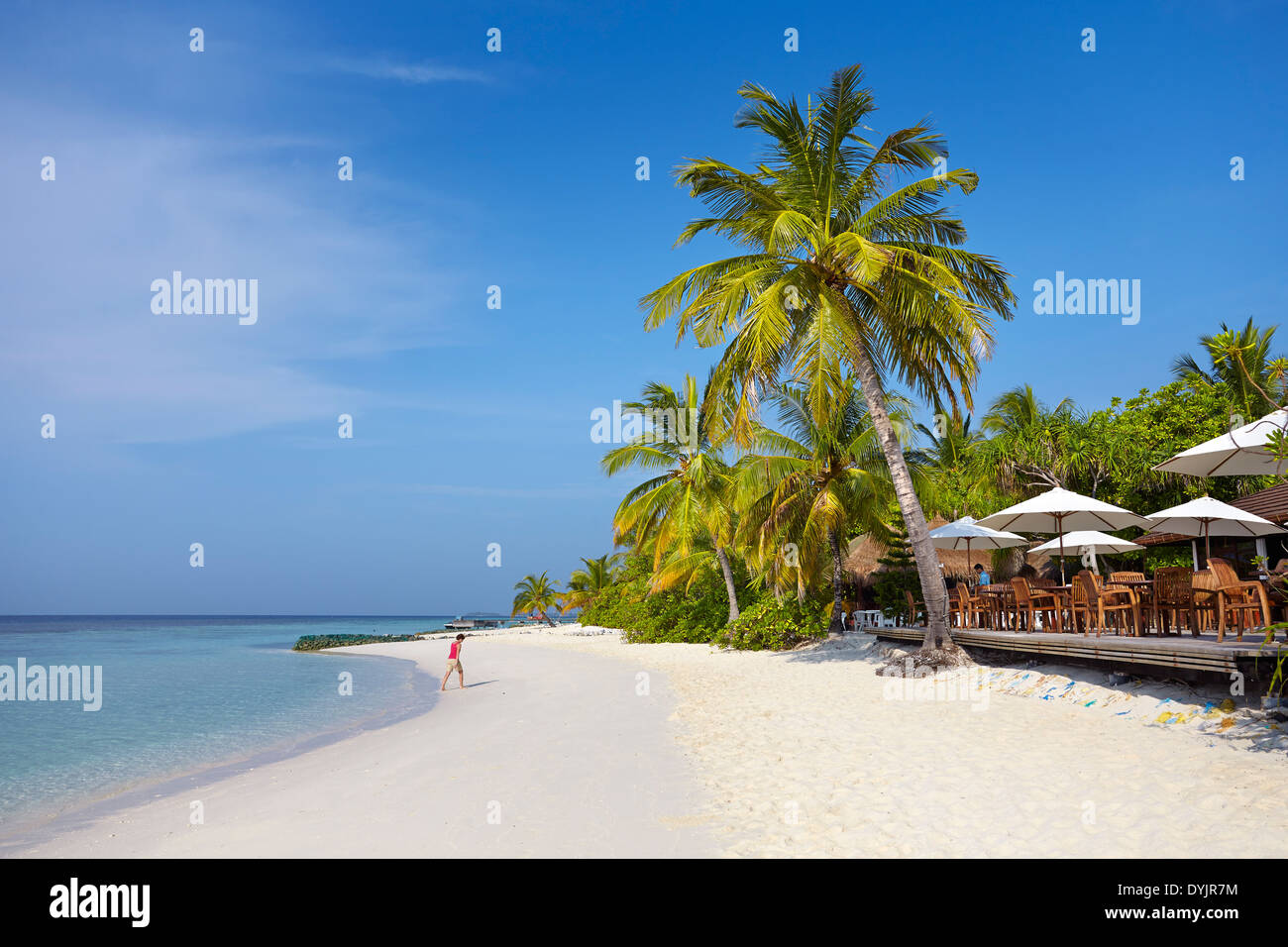 Malediven Insel, Ari Atoll Stockfoto
