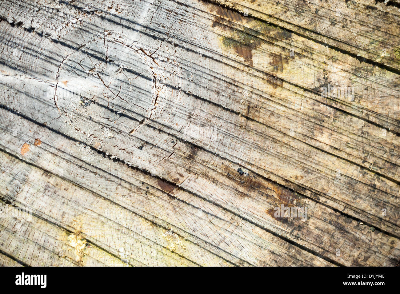 Abstrakte Holz Hintergrund eines Baumes Querschnitt Stockfoto
