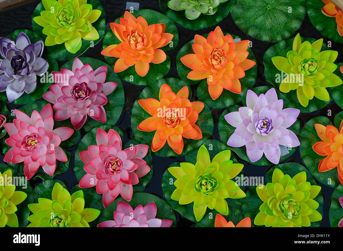 Bunte Kunststoff Lotusblumen oder Blüten von schwimmenden Seerosen Stockfoto