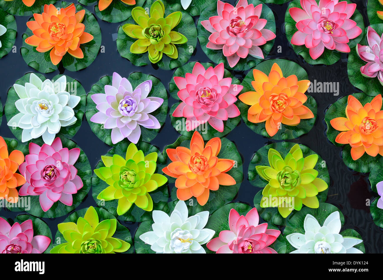 Bunte Blüten-Muster oder bunte Anzeige von Kunststoff Lotusblumen und Seerosen Stockfoto
