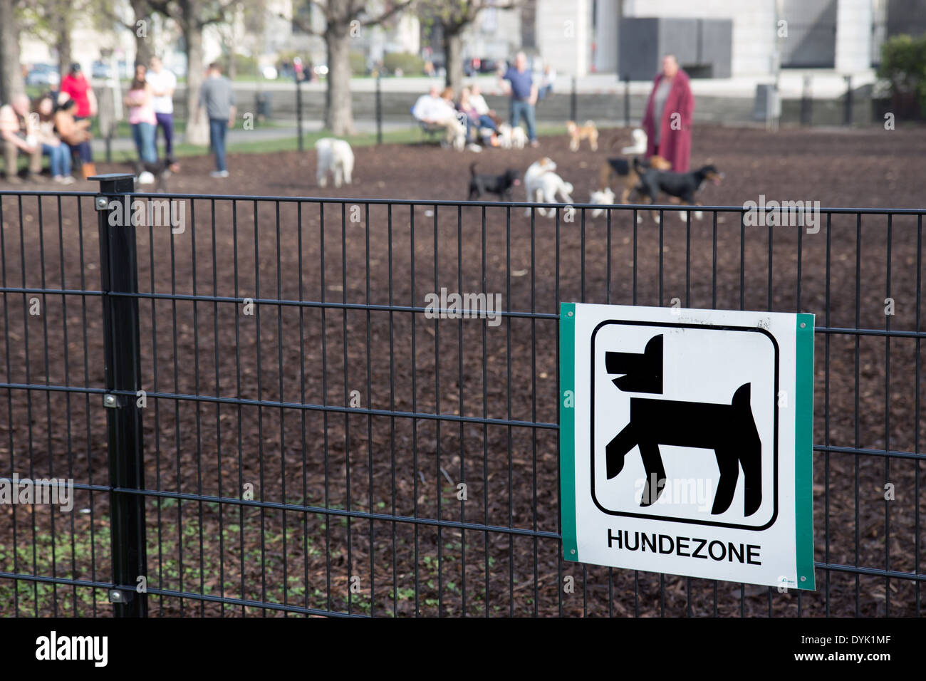 Hund wien Fotos und Bildmaterial in hoher Auflösung Alamy