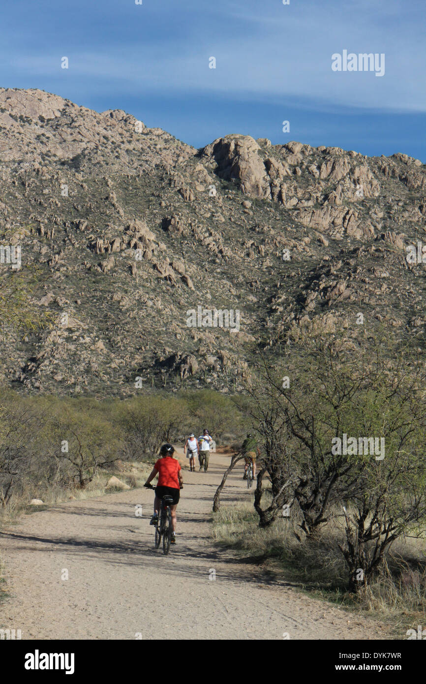 Wanderer-Biker in Arizona-Sonora-Wüste waschen Stockfoto