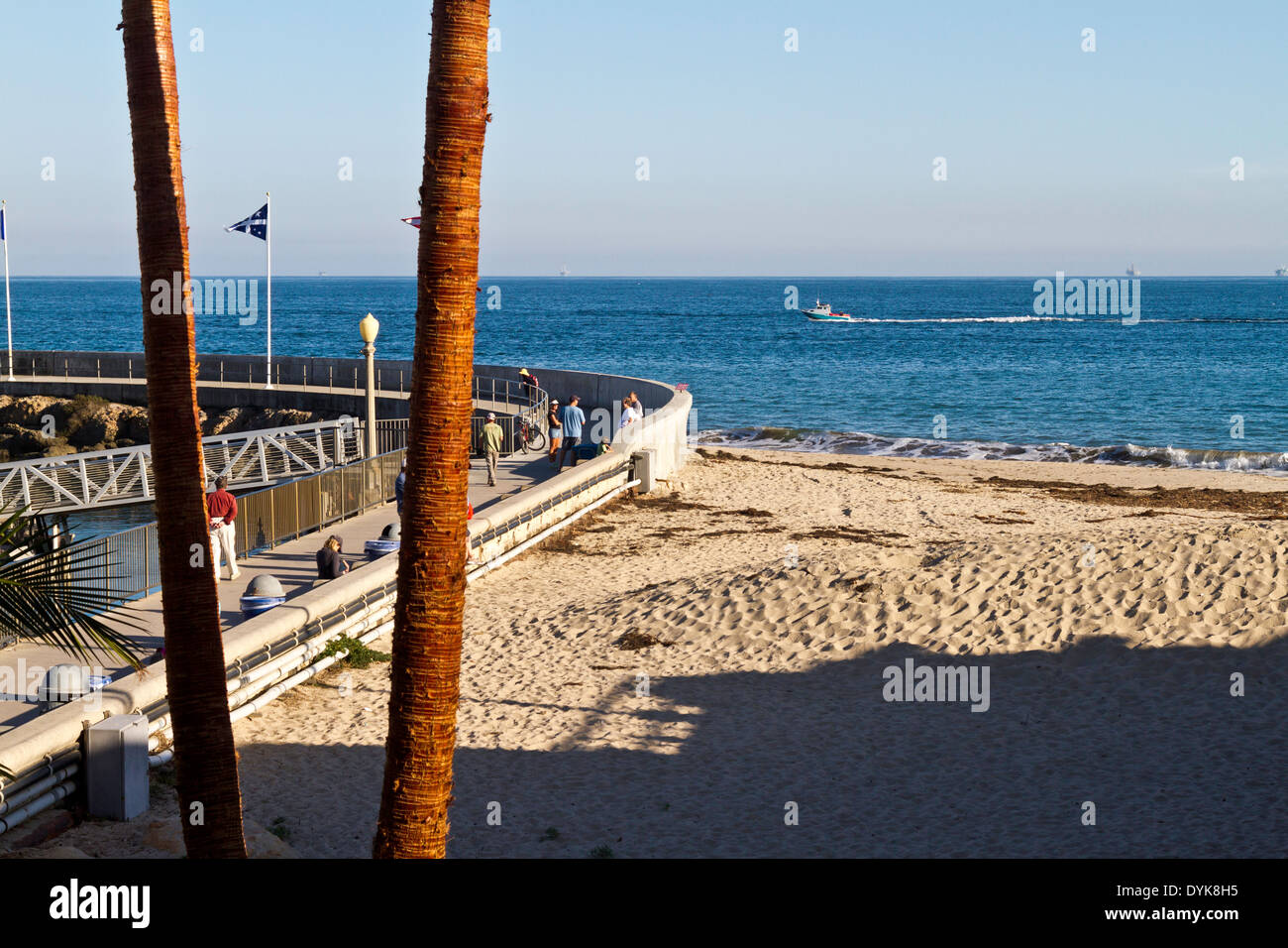 Erhöhten Blick auf die Mole am Hafen Santa Barbara (Hafen) mit Palm-Stämmen im Vordergrund Pacific im Hintergrund. Stockfoto