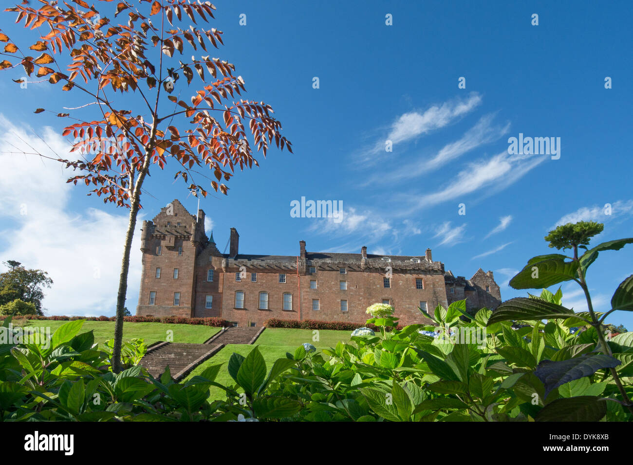 Rhus Schumack Brodick Castle Gardens arran Stockfoto