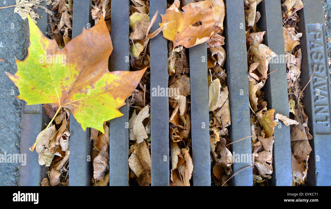 blockierte Wasserrinne Stockfoto